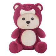 Cute Bear doll girl birthday gift Sleeping Rest Hug 333
