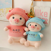 li Pig Stuffed Toy Pillow Doll Birthday Gift Sleep Hug Cute Animals Home Decor