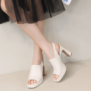 Fish Mouth High Heels Female Thick Heels 2023 Spring New Roman Shoes