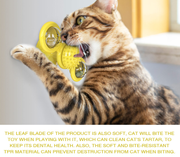Cat Toys Rotating Windmill with LED Lights Cat Toys Funny Cat Interactive Toys  Catnip Ball Cat Brushes, Turntable Massage, Scratching, Molar, Suction Cup Toys