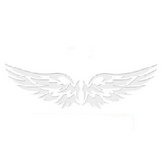 Car Stickers Angel Wings Pattern Outdoor Reflective Car Motorcycle Body Decals Window Scratch Stickers