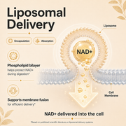 Solivive NAD+ 5-in-1 Formula
